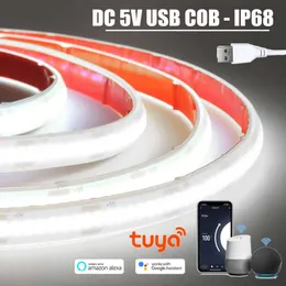 COB Led-strip USB 5 V, warmwit dimbaar, CRI85 8 mm breed, flexibele ledstrip voor tv-achtergrond, keuken, woonkamer, feest en doe-het-zelfdecoratie (warm wit, 5 m