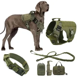 Labrador Dierenvesten kopen? ✔️ Vergelijk de beste aanbiedingen