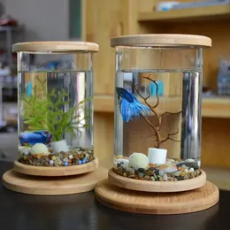 accessories in fish tank Christmas Aquarium Decorations Floating Air Pump Decorations Include Hanging Lovely Diver for Aquarium and Retro Old Submarine Wreck Ornament Artificial Resin for Fish Tanks Pool : Pet Supplies Designed for hassle Mini Fish Tank Guide: Glass