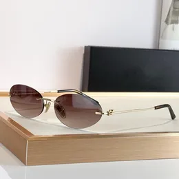 Premium Acetate Sunglasses: Gold Plated Frame, High  display picture 1