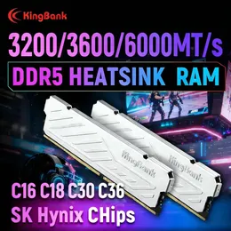SEIWHALE 16GB DDR5 Imdb Memory For Desktops 6000MHz From