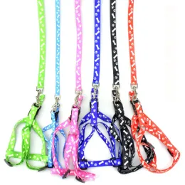 Wholesale Adjustable Nylon Harness And Puppy Pulling On Leash Set For Small Dogs And Cats Affordable Pet Collar With Lead Width 1.5cm From Dh3899051 13.06 DHgate.Com