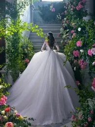 Long Sleeve Wedding Gowns Floral Appliqued V-Neck Ball Gown: Princess Style  Bridal Dress, Elegant Wedding Attire