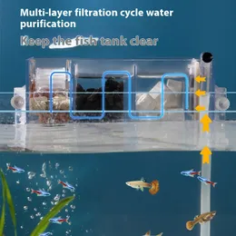 Aquarium Filter Setup for Multi-Species Tanks: Ultimate Guide