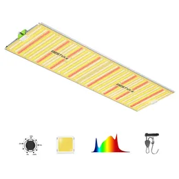 Bestva quantum board top