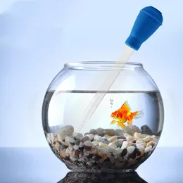 Feeding Tools for Small Tanks: Essential Gadgets for Easy Care