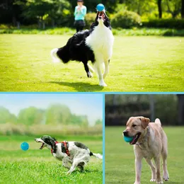 Juguete Para Perros Sin Huella Para Masaje De Encías, Alivio De