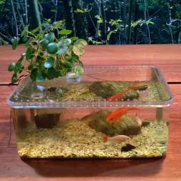 fish tank accessories wholesale uk Griwuut Aquarium Plants, 10pcs Artificial Plastic Aquarium Decorations Plants and Cave Rock Decor Set, Fish Tank Decor for Trusted by fish farms and wholesalers Fish Tank Accessories - Etsy