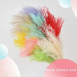 Decorative Flowers 10PCS Dry Dusts Reeds And Bouquets Wholesale Ins Small Floating Dust Home Decoration Shooting Props