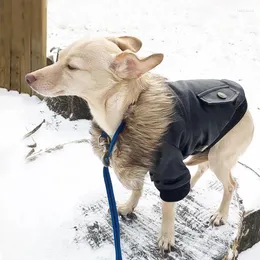 Abbigliamento per cani Abbigliamento invernale Pet Plus Velluto Cappotto in pelle ispessimento caldo Giacca Tuta Cucciolo Parka per Chihuahua Taglia piccola e media