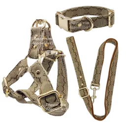 Designer Dog Collars Leash set Classic Letter Pattern No-Pull Adjustable Silk Nylon Webbing Pet Harness with Metal Buckle for Small Medium Large Dog Easy Walking B214