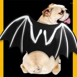 Hundkläder Bat Costume Cat Clothes Halloween Spooky Dress Up Pet Supplies Glow-In-the-Dark Wings Transformer