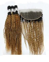 Dilys Kinky Curly Brazilian Virgin Hair Bundles with Prontal Color 1B27 Remy Weft Human Hair Bundles2820399