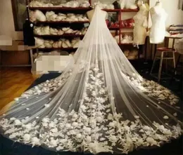 Veli da sposa da cattedrale di lusso con pettine Uno strato di fiori Applicazioni Velo da sposa lungo Personalizzato Realizza 3 m di lunghezza 3 m di larghezza Accessori sposa3551213