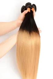 PASSION Ombre 1B27 Прямые человеческие волосы с плетением цветных двухцветных бразильских малазийских перуанских пучков волос Ombre Blonde Remy Hair 37520102