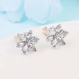 Boucles d'oreilles à tige en argent sterling 925 avec herbier étincelant tendance pour femme