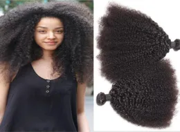 Mongolisches Afro-Kinky-Curly-Jungfrau-Haar, Kinky-Curly-Haarwebart, Echthaarverlängerung, natürliche Farbe, doppelte Tressen, färbbar8217999