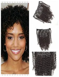Peruanische Clip-in-Echthaarverlängerungen, peruanische Afro-Kinky-Curly-Echthaar-Clip-Extensions, schwarze Farbe, 1bGEASY Hair Products8944386