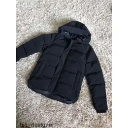 Prada Gucci Louis Vuitton Burberry Loewe Celine Amiri Balmain Moncler The North Face Вы Erkekler aşağı ceketler veste homme açık kış jassen dış giyim büyük kürk kapüşonlu fourrure