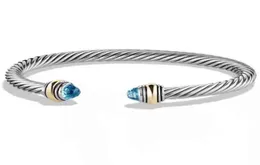 Bracelet en titane pour femmes, bricolage, deux couleurs, plaqué or 18 carats, câble en acier inoxydable, simple et ouvert, 9740829