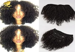 Mongolskie dziewicze włosy Afroamerykanin Afro Kinky Curly Hair Clip w ludzkich włosach przedłużenia naturalne czarne klipy INS8184490