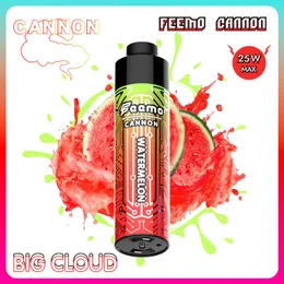 EU US Local Warehouse Puff 10K Puffs Disponible Vape Pen Big Cloud Feemo Cannon Disponible Vape Pen Type-C CABLECHARE MED 0,5HM MOSTANCE FÖR BRA PRIS