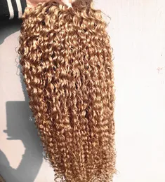 Brezilyalı insan bakire remy kinky kıvırcık saç uzantıları remy koyu sarışın renkli saç atkı tam kafa için 23bundles 8978497