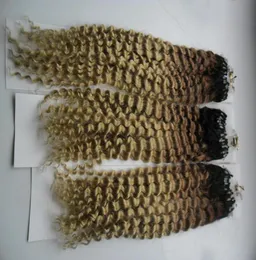 Micro-Loop-Haarverlängerung mit Perlen, 300 g, 1 g, 300s, Ombre, brasilianisches Haar T1b613, brasilianisches verworrenes lockiges Mikroring-Lockenhaar exte3755370