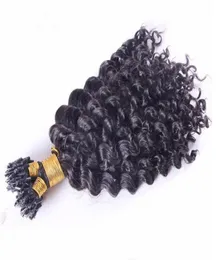 Elibess Brand 300gr 14 16 18 20 22 24 Micro Ring Indian Remy Human Hair Extensions深い巻き毛8853224