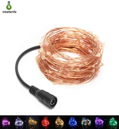 12V DC Golden Copper Wire LED String Light 10M100LED 20M200LED 30M300LED VATTOSKT JUL LJUT FÖR HELSE PARTY DECORATI7415761