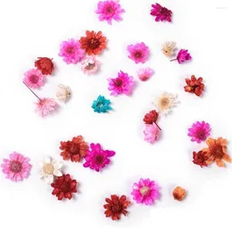 Decorações de arte de unhas 10 pcs aleatoriamente reais flores secas adesivos dicas decoração pequenas flores moda ferramentas de estilo diy manicure drop d ott1z