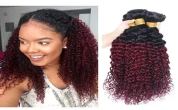 Kinky Curly Human Hair Bundles Ombre 1B99J Hair Extension Brazilian Virgin Two Tone 1B99J Dark Red Remy Hair Weaves