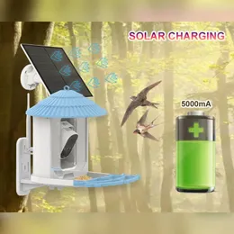 Other Bird Supplies Feeder With Camera 4 Megapixel Smart Artificial Intelligence Recognition Automatically Capture Videos