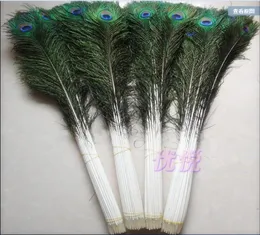 Whole 100pcslot 1044inch25110cm beautiful High quality natural peacock feathers eyes for DIY clothes decoration Wedding7332460