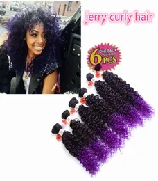 Hochwertige 6-teilige synthetische Webart-Haarverlängerungen Jerry Curly Ombre Brown Kanekalon Deep Curly Crochet Purple Braiding Hair fo6957194