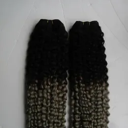 Wefts 200g 2pcs 1b/ 회색 Ombre Human Hair 직조 묶음 브라질 Kinky Curly 2 번들 확장