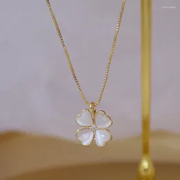 Pendants 14k Real Gold Plated Jewelry Exquisite Leaf Clover Shape Simple Clavicle Chain Short Necklaces For Woman Shine Holiday Necklace