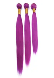 Malásia roxo cabelo humano tece extensões de seda em linha reta roxo colorido virgem remy cabelo humano pacotes ofertas 3 pçs lote duplo w2779870