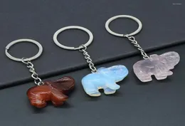 Keychains Natural Semiprecious Stone Elephant Key Ring Chain Pendant Rose Quartz Tiger Eye for DIY Jewelry MakingHomedecoration5461159