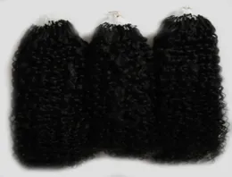 Naturalny kolor Afro Kinky Curly Micro Loop Hair Hair Extensions 300G Mongolian Kurly Fair Micro Link Hair Extensions Human 300S4368068