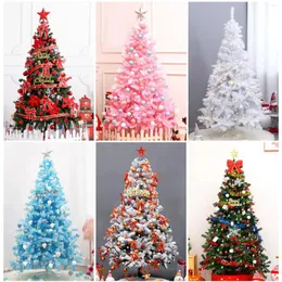 Decorazioni natalizie 1.2/1.5/1.8m Pacchetto albero Famiglia crittografato luminoso ornamenti di grandi dimensioni Set di decorazioni Accessori per la casa