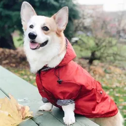 Dog Apparel Jacket INS Explosion Trendy Windproof And Rainproof Retro Thickened Raincoat Pet For Medium Large Dogs