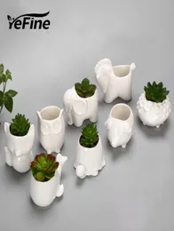 Yefine Yaratıcı Seramik Flowerpot Ekici Bahçe Ekicileri Jardin Bonsai Masası Etli Saksı Sevimli Hayvan Sakaları Y2007092290625