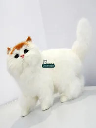 Dorimytrader LifeLike Cuddly Animal Cat Plush Toy Alyist Animals Pet Cats Toy Decoration Gift 35 X 20CM DY800206663972