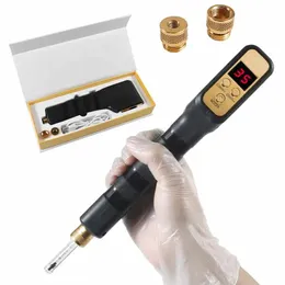 Gun 2in 1 Hyaluron Pen Mesotherapy Gun Wireless Hyalruonpen مقابل 0.3 مل 0.5 مل من شباب الجلد Ampoule ، مضاد للشيخوخة ، رفع الشفة ، ج