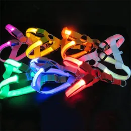 PET LED Lumious Harness Dog Glowing Light Puppy Blinkande koppel Rope Belt Cat Collar Vest Product Arnes Perro 240103