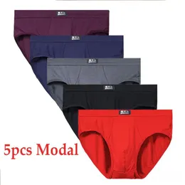 Underpants 5pcs/lot 5xl Modal Men's Underwear Briefs Male Underpants for Men Brief Panties Mens Shorts Bikini Pant Men Sexy Solid Comfort