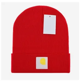 2024 Hot Selling Winter Knitted Beanie Mans and Womans Casual Hats Thick Warm Knit Hats Fall Pure Wool Cap Unisex Warm hat GZ010