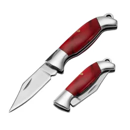 Presa di fabbrica Portachiavi apriporta mini coltello da caccia pieghevole tascabile con manico in legno in acciaio inossidabileVRJ2