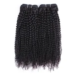 Wefts Natural Color Afro Kinky Curly Human Hair Bundles Double Weft 2/3pc Remy Indian Human Hair Weaving1026インチシェッド9095g/P
